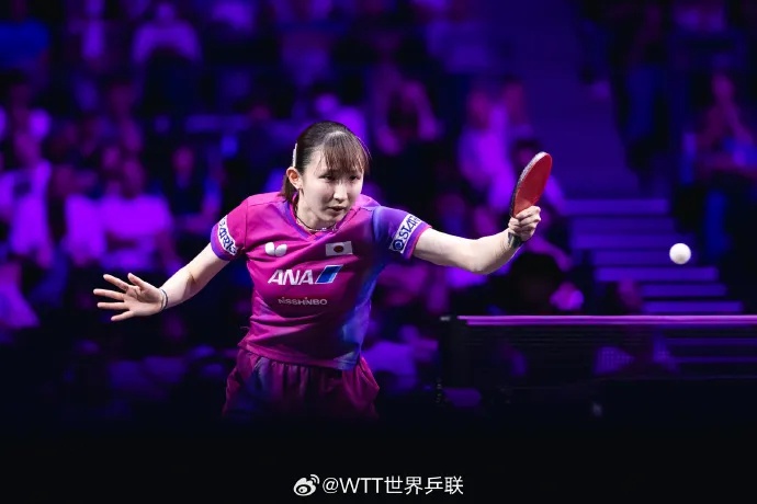 早田希娜无, msn