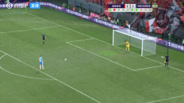 足协杯半决, 河南, ws